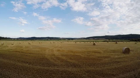 Take off off a Drone flight Stock Footage 113602115