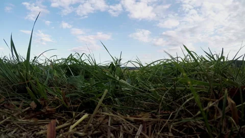 Take off off a Drone flight Stock Footage 145435554