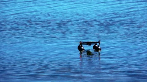 Take-off of the drone from the water Video stock 76162463