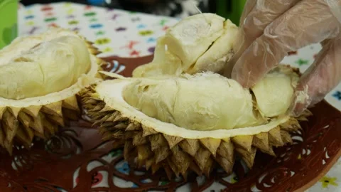 Take durian fruit with hand with plastic gloves Stock Footage 273434903