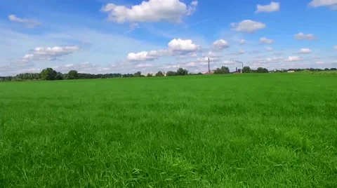 Take off on field Stock Footage 54601544