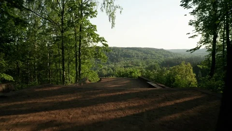 Take off from the forest trail Stock Footage 109582326