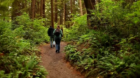 Take a Hike Stock Footage 42330319