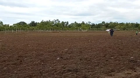 Take off kite Stock Footage 214836058