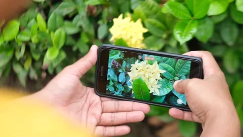 Take macro pictures using a smartphone 스톡 동영상 168861923