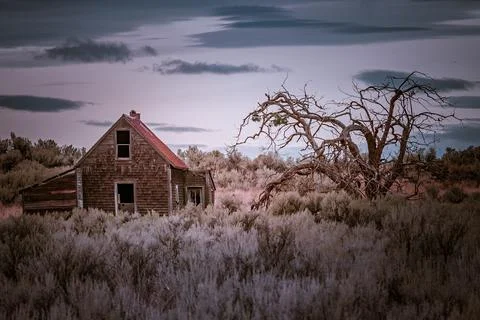 Take Me Back To Doomsday Fotos de archivo