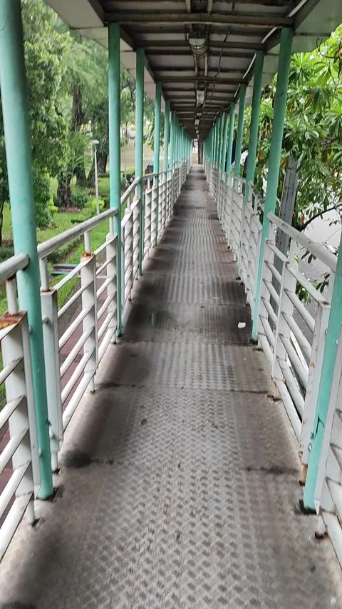 TAKE ME BACK HERE Stock Footage 329227833