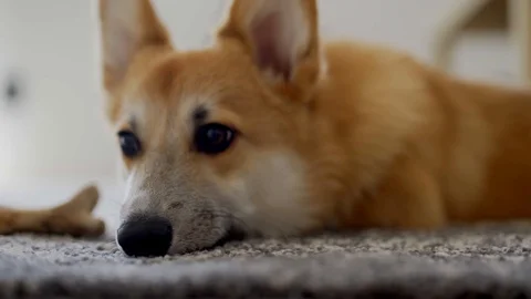 Take a nap Stock Footage 127429101