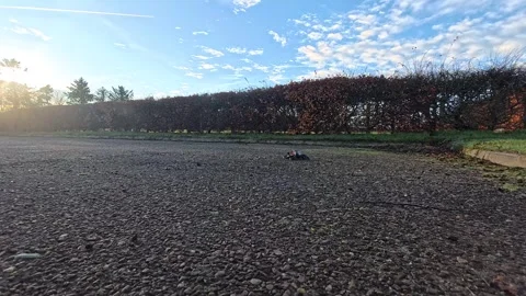 Take off2 Stock Footage 313207670