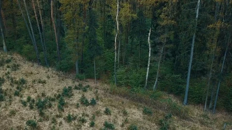 Take off over the field while looking at the village Stock Footage 129450914