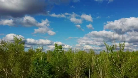 Take off over the forest and fields. Video stock 155706384