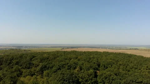 Take off over the forest Video stock 150486313