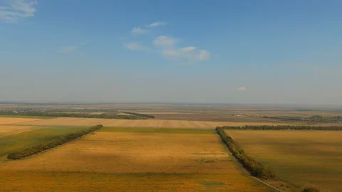 Take off over green-yellow fields Stock-Footage 133255557