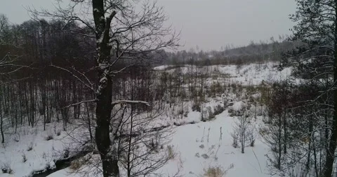 Take off over a winter tree on a drone Stock Footage 147678301