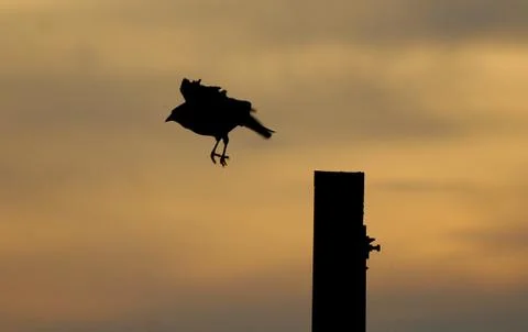 Take off Stock Photos