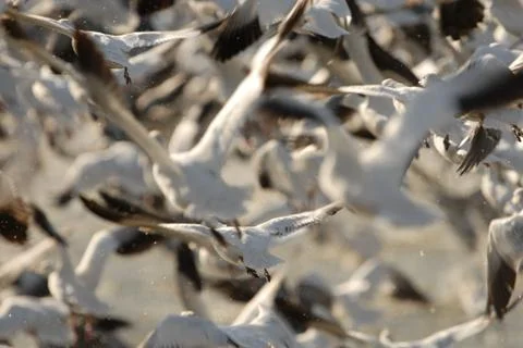 Take Off Stock Photos