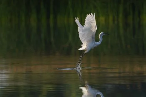 Take off 库存照片