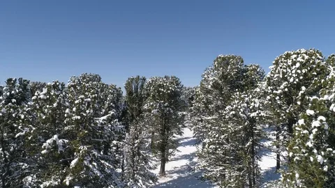 Take-off of the quadrocopter on the mountain pass "Seminsky". Stock Footage 94914242