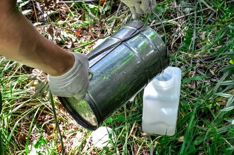 Take samples of water for laboratory testing. Stock Photos