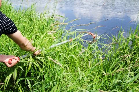 Take samples of water for laboratory testing. The concept - analysis of water Stock Photos