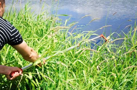 Take samples of water for laboratory testing. The concept - analysis of water Stock Photos