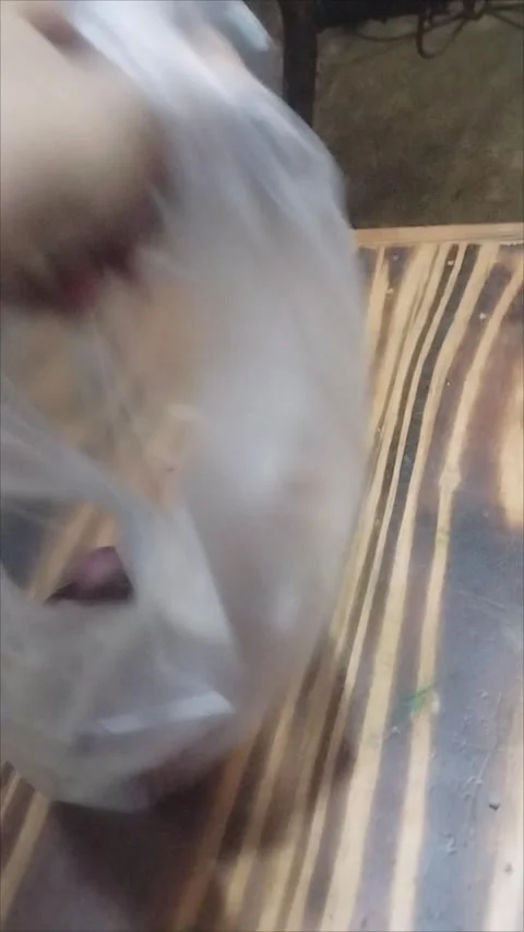 Take the shallots that are in clear plastic Stock Footage 291763117