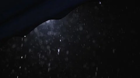 Take a slow shot. The rain is falling in focus as the rain settles on the roo Stock-Footage 220556618