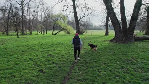 Take a stroll through the city park with your furry companion and experienc.. Stock-Footage 238525342