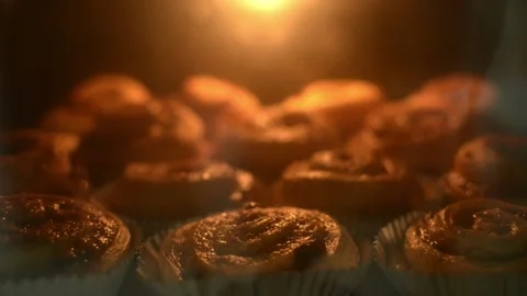 Take a time-lapse shot while baking cinnamon rolls in the oven. Stock Footage 160555081