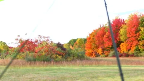 Take off in an ultrlight Stock Footage 8833995