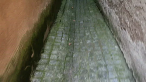 Take a walk Stock Footage 527401