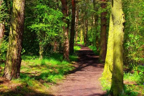 Take a walk Stockfoto's