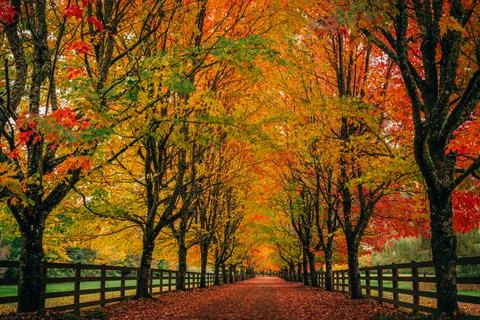 Take A Walk Fotos de archivo