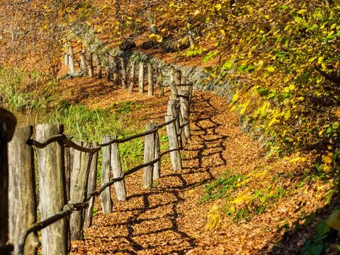 Take A Walk .... Stock Photos