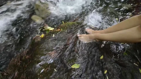 Take a woman's feet by refreshing in a stream of clean water. Stock Footage 135605991