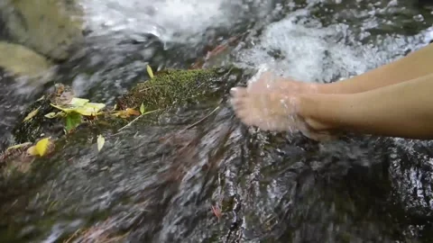 Take a woman's feet by refreshing in a stream of clean water. Stock Footage 135605998