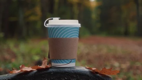 Takeaway Coffee Cup on Park Bench in Autumn Forest Video stock 327464322