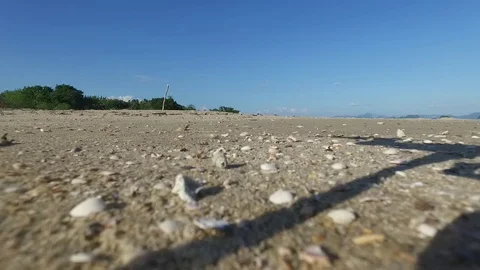 Takeoff from the beach Stock Footage 80371951