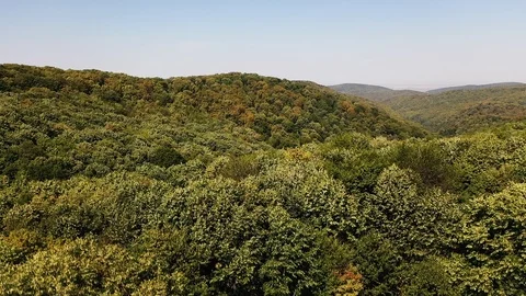 Takeoff Drone Over The Forest Stock Footage 116909292
