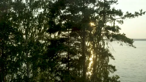 Takeoff over the forest aerial view in autumn in fabulous HDR lake in the distan Stock Footage 208425031