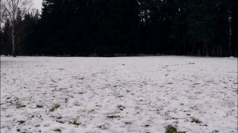 Takeoff over park Stock Footage 35342970