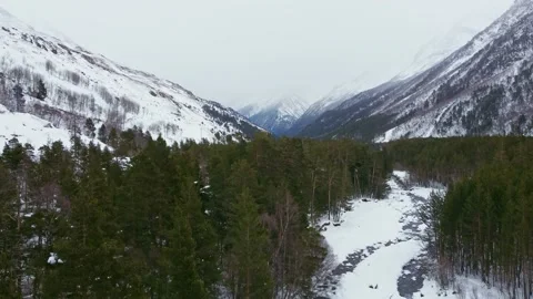 Takeoff over a pine forest and a river in the mountains Stock Footage 168279230