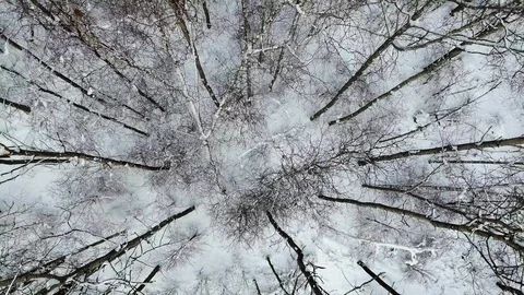 Takeoff up over the snow-covered trees. Stock Footage 107470281