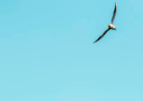 Takeoff ! Stock Photos