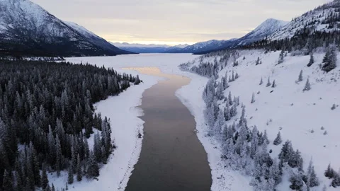 Takhini River Between The Snowy Forest In Winter In Yukon, Canada. - aerial shot Stock Footage 302785307