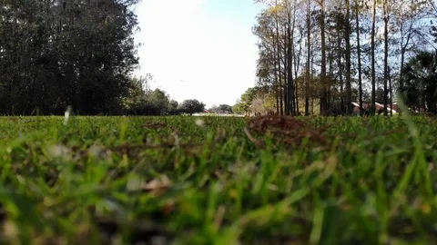 Taking off and flying on a Golf course in Orlando. Stock Footage 125711400