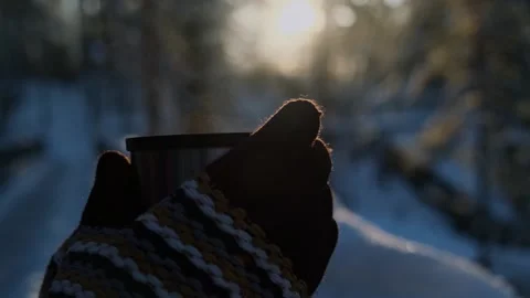 Taking a break while walking in the snowy forest. Stock-Footage 260207306
