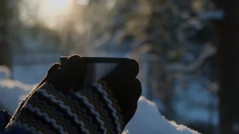 Taking a break while walking in the snowy forest. Stock Footage 285628146
