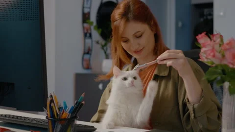 Taking a break from work to play with a pet cat in a cozy home office Stock Footage 302907998