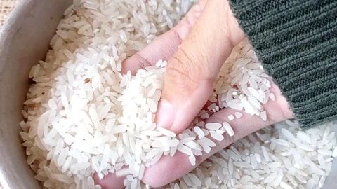 Taking a bunch of rice on a hand Stock Footage 145623037